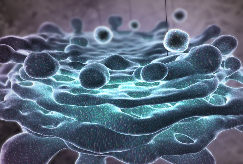 The Inner Life of the Cell - Cell Animation | XVIVO