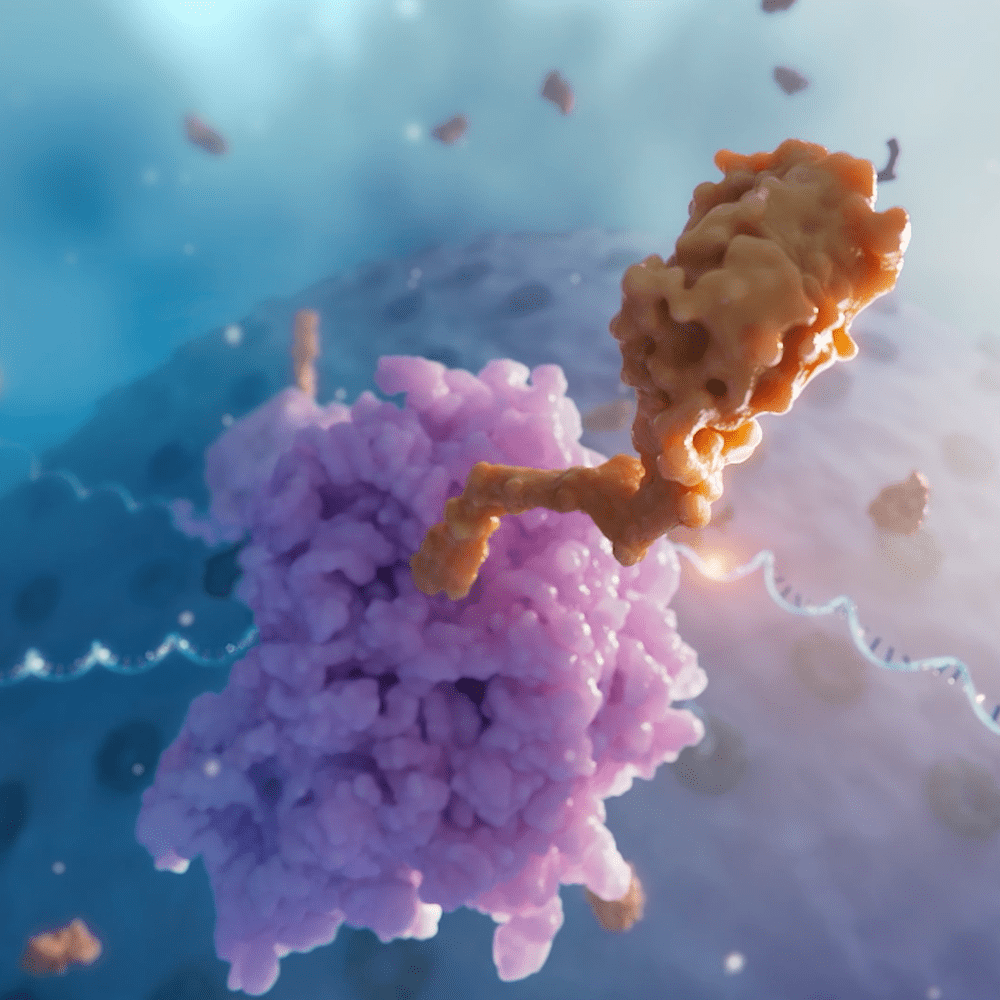 Revolutionizing RNA Editing Awareness: XVIVO’s Medical Animation for Korro Bio