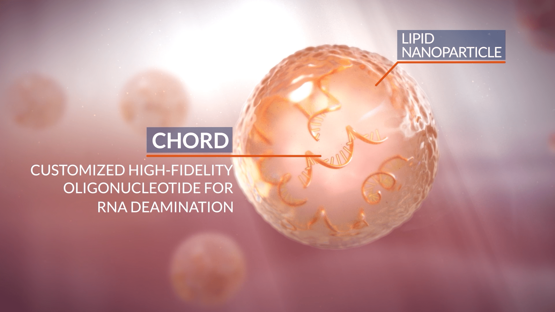 CHORDs inside Lipid Nanoparticle