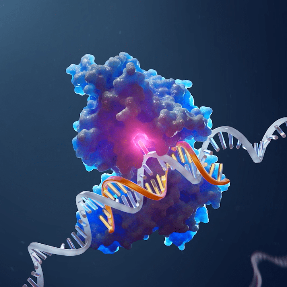 Mechanism of ADAR Animation