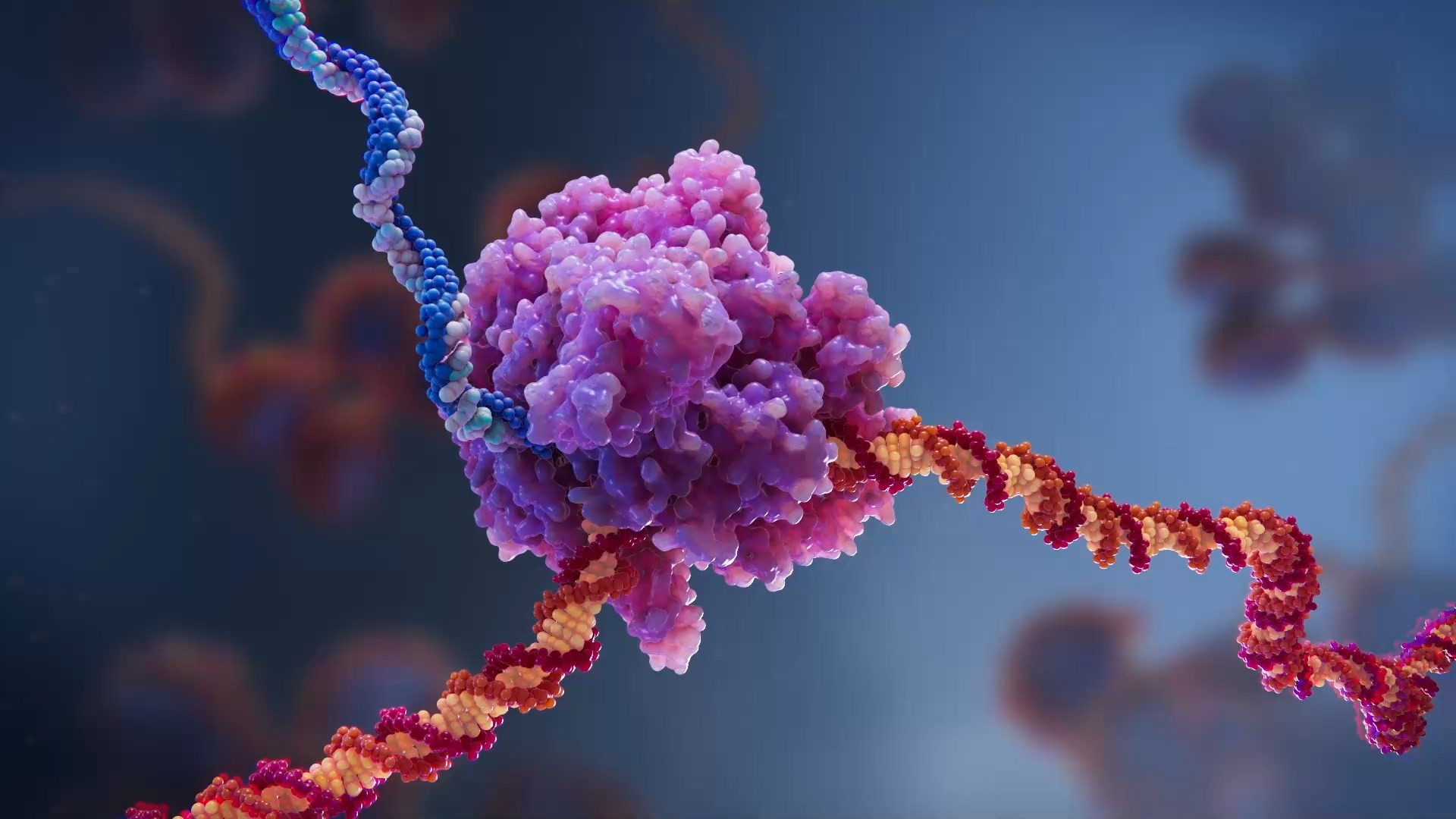 RNA Transcription with RNA Polymerase