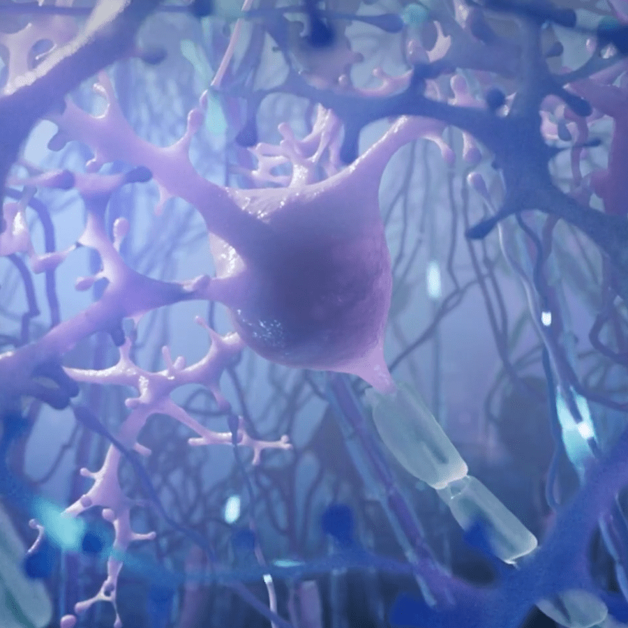 A close-up, stylized illustration of a neuron showing its cell body, dendrites, and axon against a blue and purple background, representing activity in a neural network.