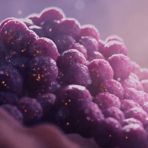 Oncology Animation