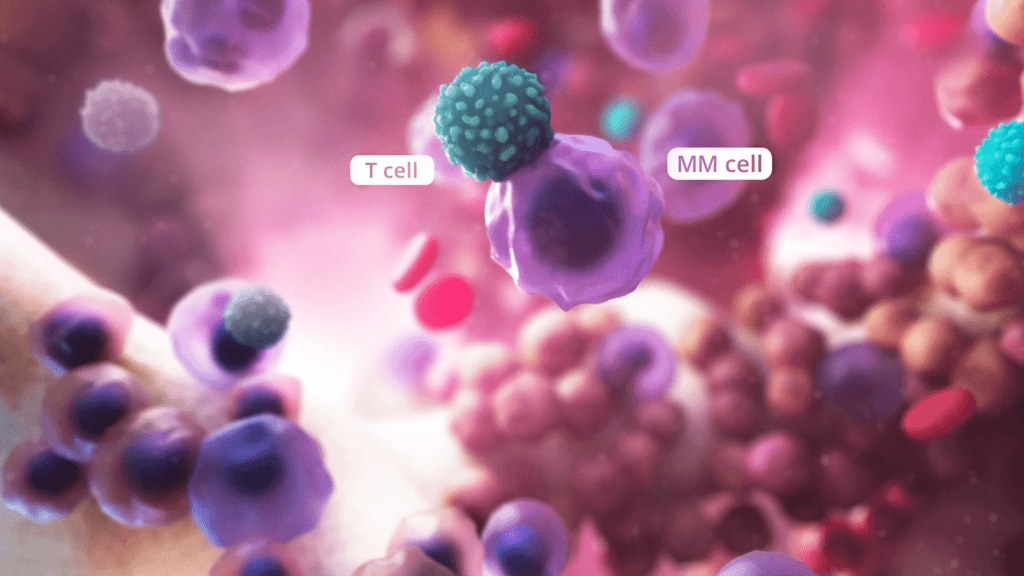 T cell interacting with multiple myeloma cell in the bone marrow