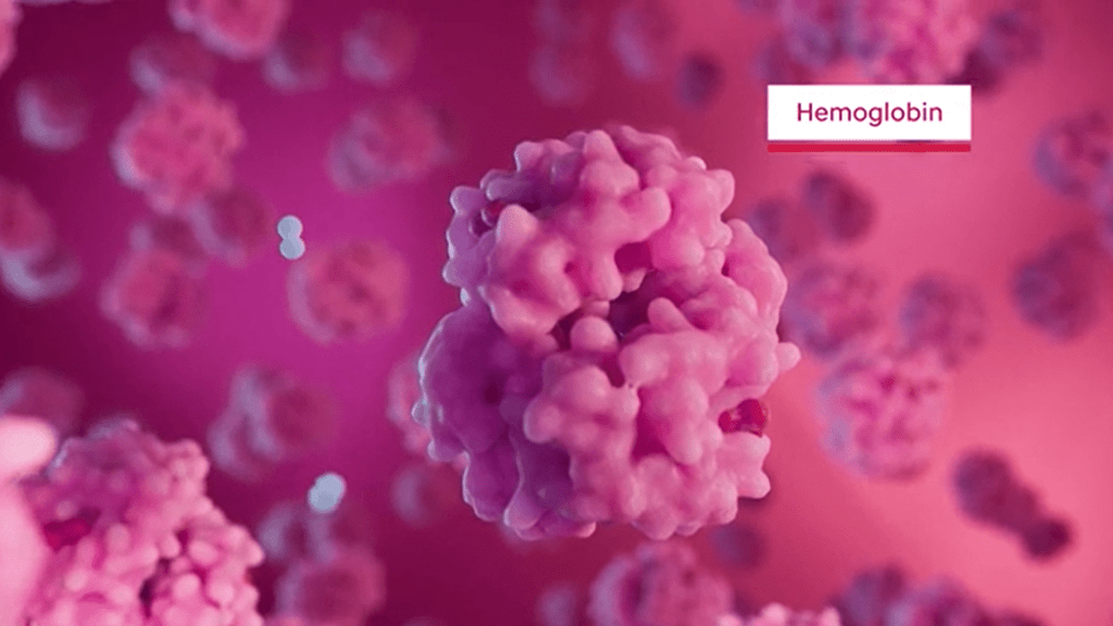 Hemoglobin proteins with a label
