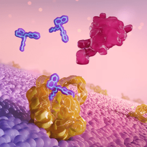 Mechanism of Action Animation